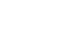 webspace spider